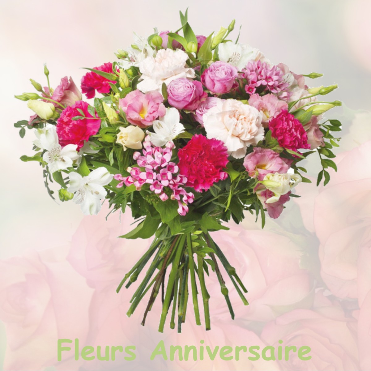 fleurs anniversaire NEUF-BRISACH